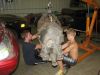 Filename=IMG_2382.JPG
Filesize=70KB
Dimensions=800x600
Date added=Jan 13, 2012 IMG_2382.JPG